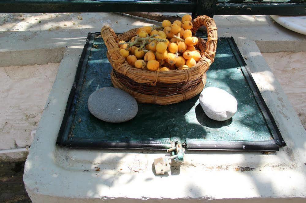 Chios Stone House Villa Vrontádos Екстериор снимка